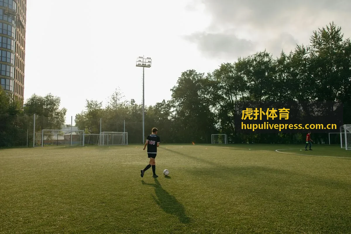 虎扑体育深度分析专家苏群